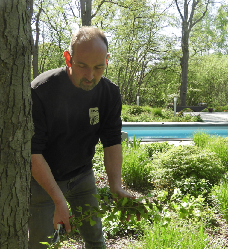 Bedrijf voor groenvoorziening